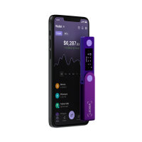 Ledger Nano X™ Amethystviolett